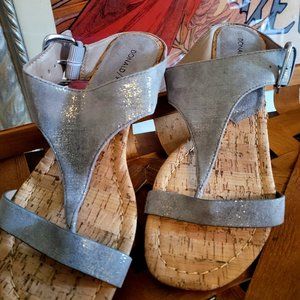 Donald Pilner Metalic Wedge Sandal